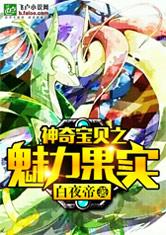 神奇宝贝之魅力果实