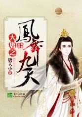 大唐之凤舞九天