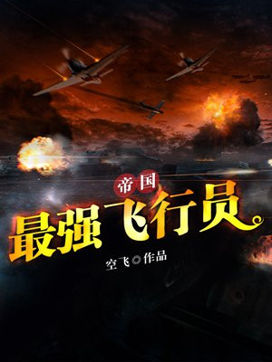 帝国最强飞行员