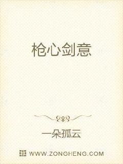 枪心剑意