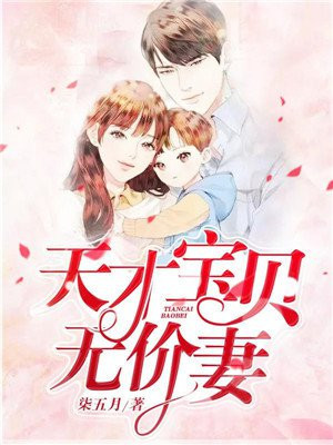 天才宝贝无价妻