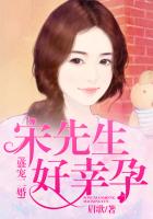 盛宠二婚，宋先生好幸孕