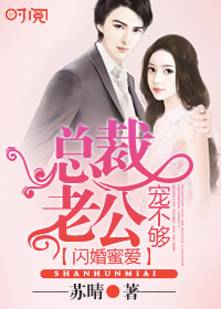 闪婚蜜爱：总裁老公宠不够