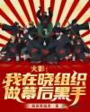 火影：我在晓组织做幕后黑手