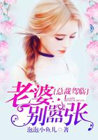 总裁驾临，老婆别嚣张