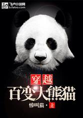 穿越百变大熊猫