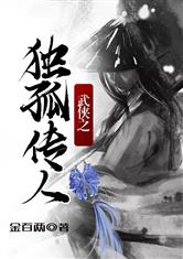 武侠之独孤传人