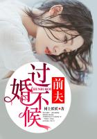 前夫，过婚不候