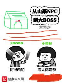 从山寨npc到大BOSS