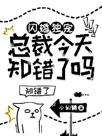 闪婚独宠：总裁今天知错了吗