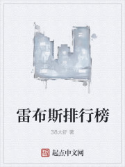 雷布斯排行榜