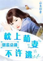 别惹总裁：枕上萌妻不许逃