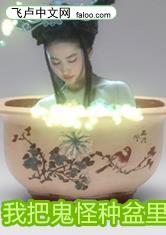 我把鬼怪种盆里
