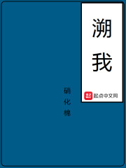 霸婿为王